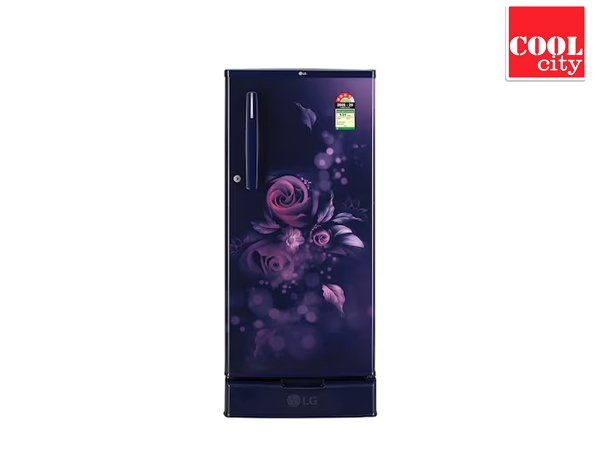 LG - 185 LTR - 4 STAR-  GLD1945ZOBE.DBEZPST